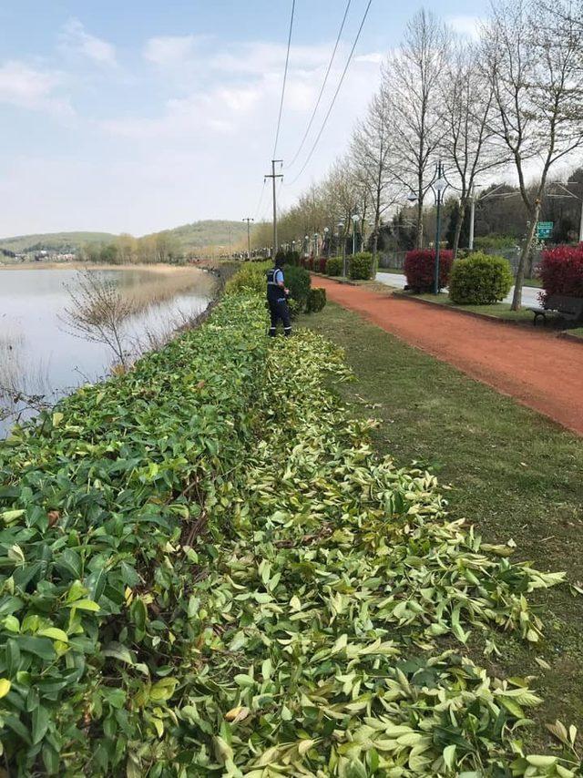 Sapanca’da Bahar temizliği başladı