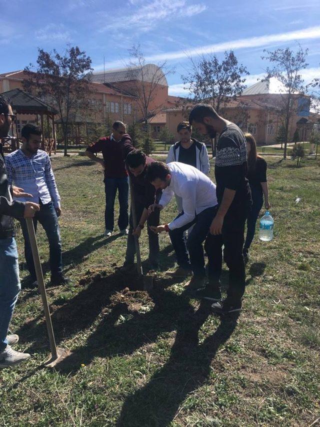 Emet Meslek Yüksekokulu’nda  ağaç dikme etkinliği