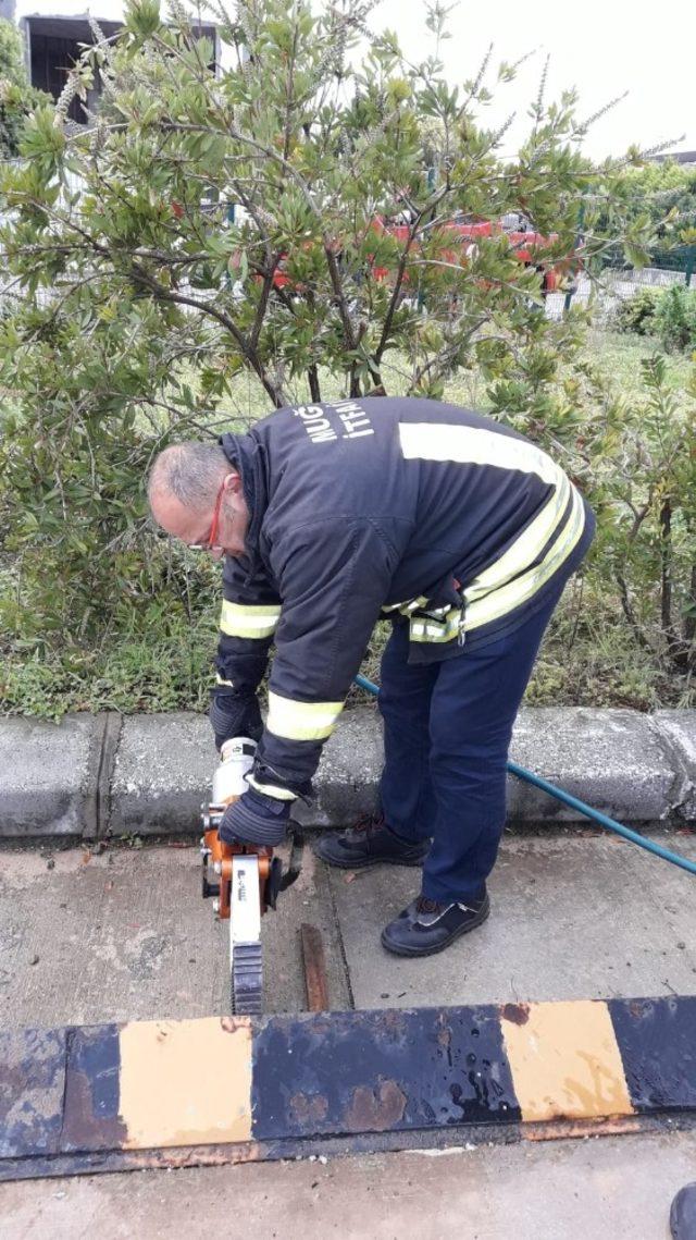 Ekipler yavru kedi için seferber oldu