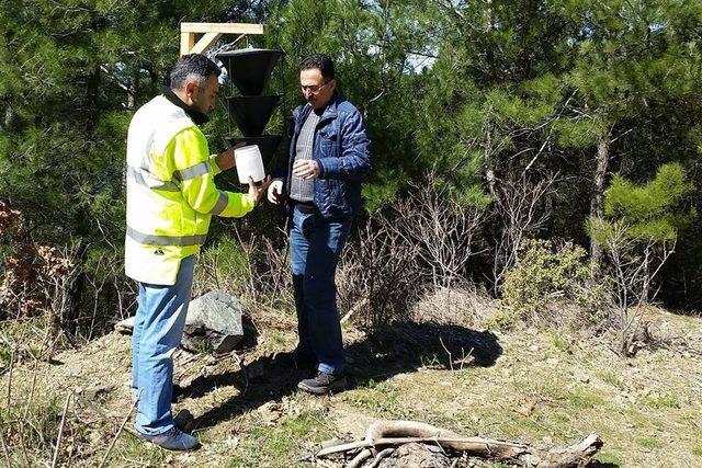 Edremit’te üretim ve silvikültür çalışmaları yerinde denetlendi