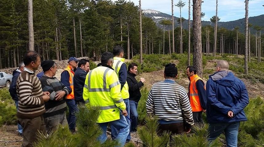 Edremit&rsquo;te &uuml;retim ve silvik&uuml;lt&uuml;r &ccedil;alışmaları yerinde denetlendi