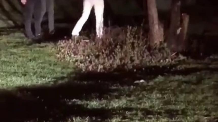 Isınmak ve etleri pişirmek i&ccedil;in ağacın dalını kestiler