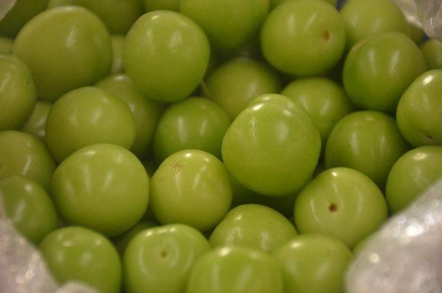 Eriğin tane fiyatı 1 liraya indi 1