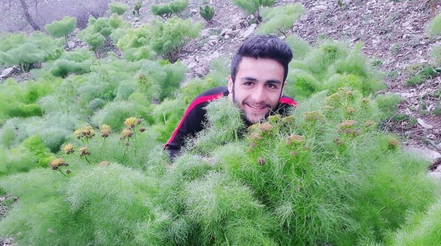 &Ccedil;ukurca baharını yaşıyor