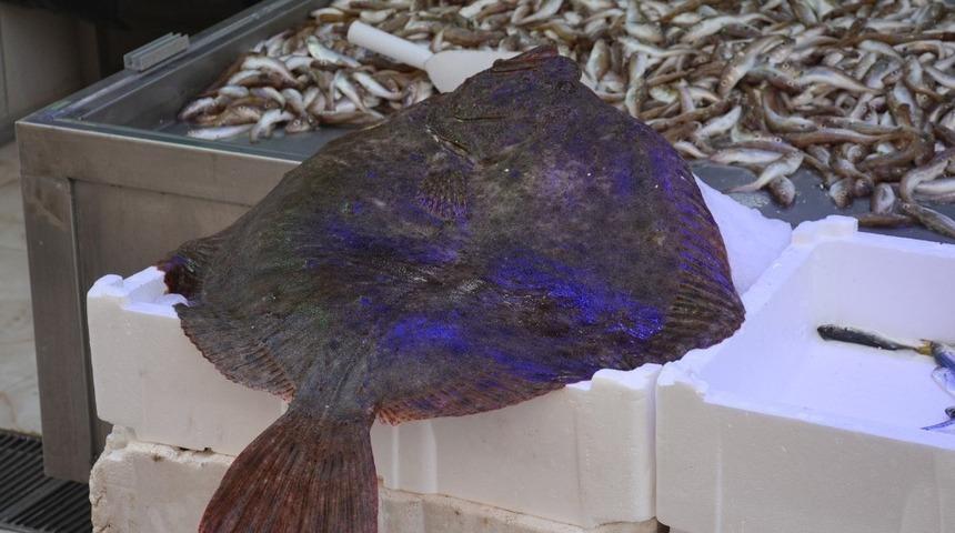 Kalkan balığının fiyatı dudak u&ccedil;uklatıyor