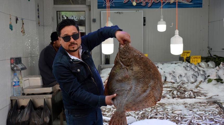 Kalkan balığının fiyatı dudak uçuklatıyor