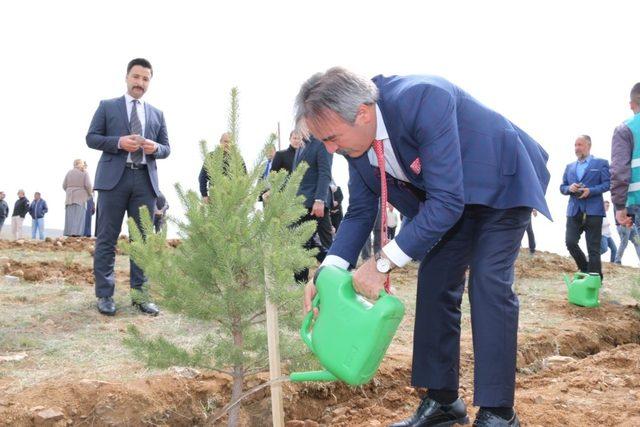 Rektör Bağlı Şehit Polis memuru Semih Turgut anısına fidan dikti