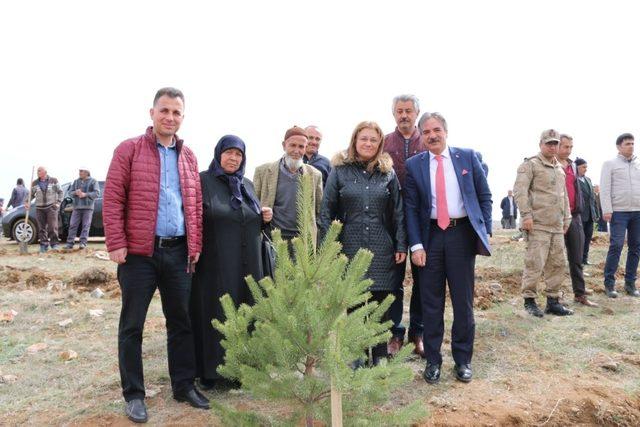 Rektör Bağlı Şehit Polis memuru Semih Turgut anısına fidan dikti