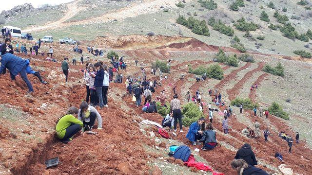 Çukurca'da sınırdaki üs bölgesine fidan diktiler