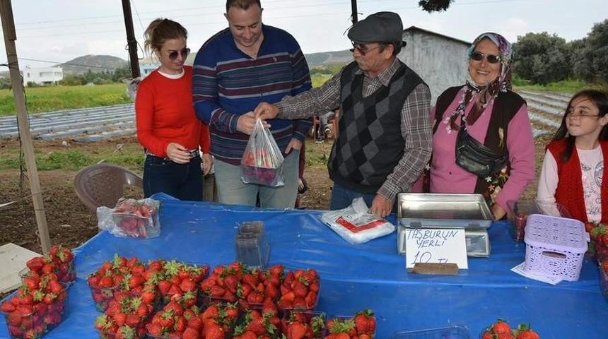 Çileği meslek edindi