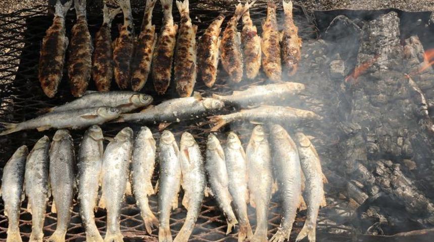 Lezzeti benzersiz bu balık sadece Van G&ouml;l&uuml;'nde yaşayabiliyor