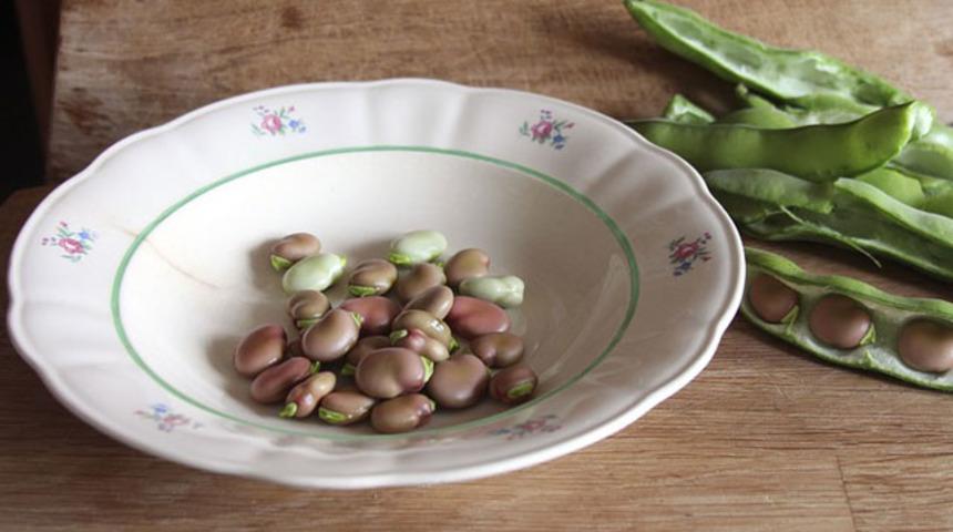 &Ccedil;ocuklarda bakla zehirlenmesine dikkat