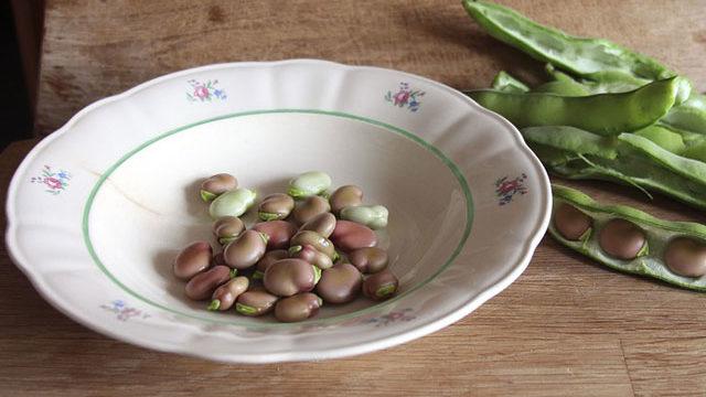 Çocuklarda bakla zehirlenmesine dikkat