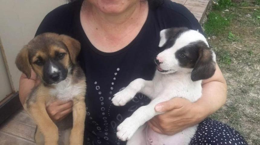 Şuhut tarihinin ilk kadın muhtarı Karaadilli’den