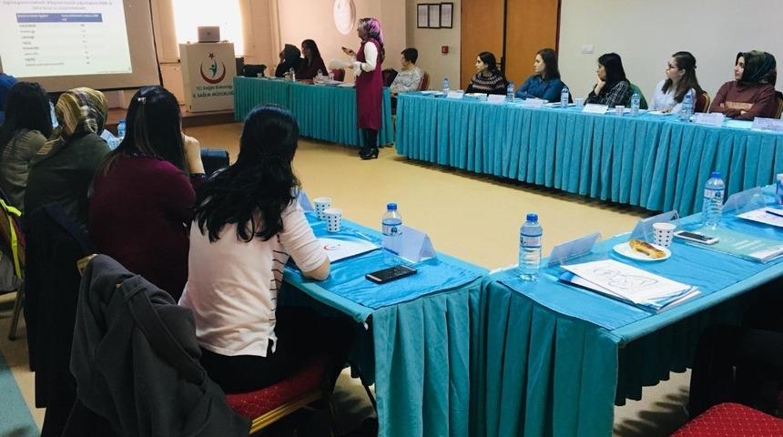 Erzincan’da "Anne Sütü ve Emzirme Danışmanlığı" eğitimi verildi