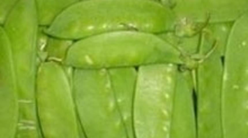 Sultani Bezelye Meze