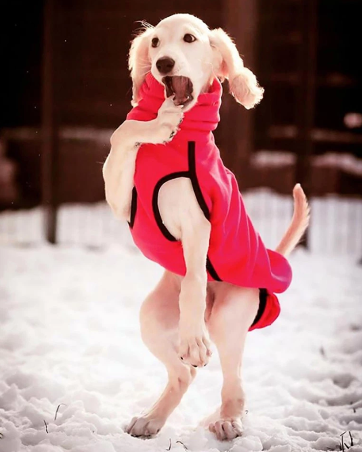 Bu fotoğraflara iki kez bakacaksınız! G1