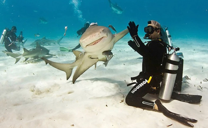 Bu fotoğraflara iki kez bakacaksınız! G4