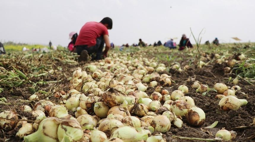 Halcilerden vatandaşa m&uuml;jde