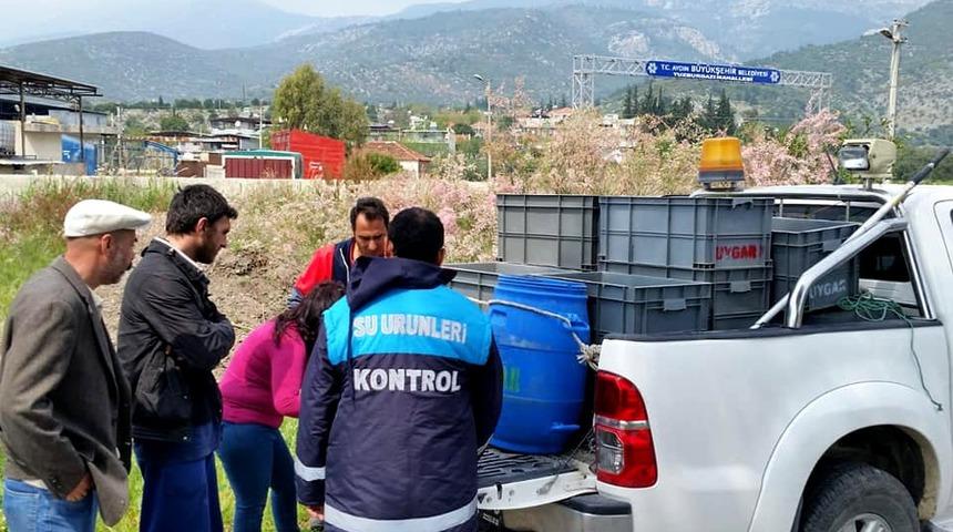 S&ouml;ke&rsquo;de 12 bin deniz patlıcanı ele ge&ccedil;irildi