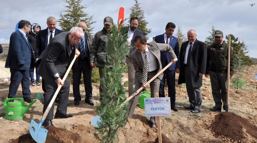 Rektör Zorlu: “4 yıl içinde kampüsümüzün tamamı ağaçlandırılacak”