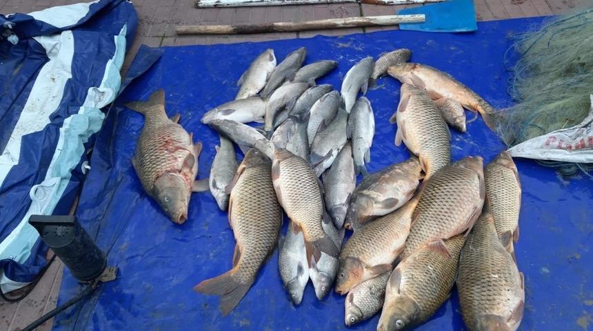 Jandarma kaçak avcılara göz açtırmıyor