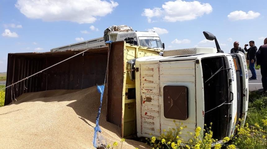Şanlıurfa&rsquo;da arpa y&uuml;kl&uuml; kamyon devrildi