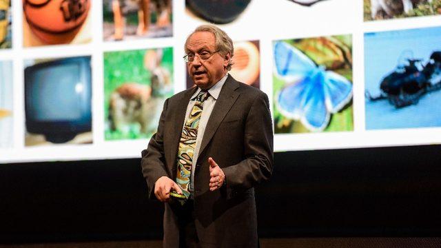 Rodney Brooks: Dijital inovasyon gençlerden kaynaklanıyor ve Türkiye bu konuda harika bir yer