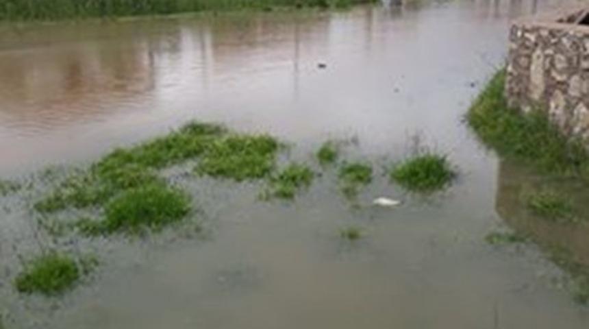 &Ouml;ren&rsquo;de her yer g&ouml;le d&ouml;nd&uuml;