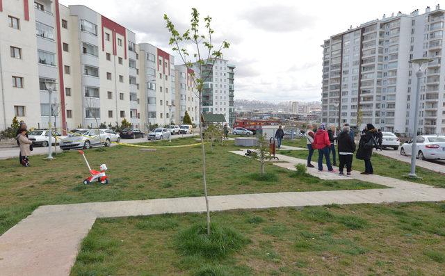 Ankara'da telef olan köpek sayısı 16'ya çıktı, beyaz renkli otomobil aranıyor