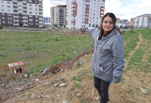 Ankara'da telef olan köpek sayısı 16'ya çıktı, beyaz renkli otomobil aranıyor