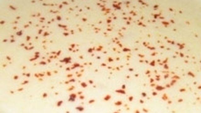 Kremalı Mısır Çorbası