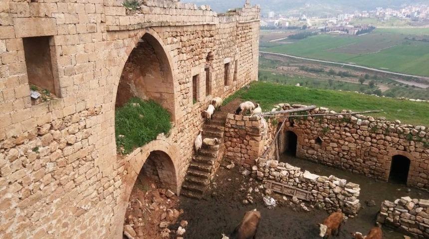 Ahır olarak kullanılan evde g&ouml;&ccedil;&uuml;k