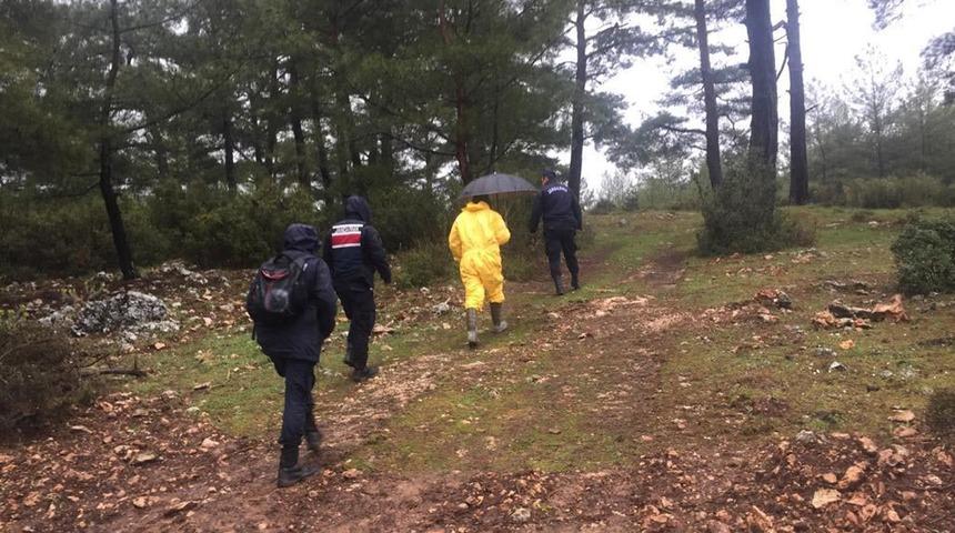 Ormanda mantar toplarken kayboldu