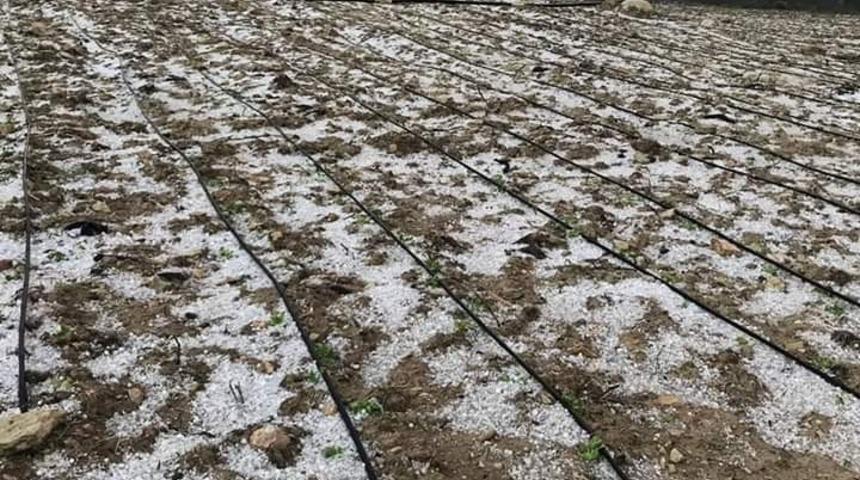 Erdemli’de dolunun zararı yaklaşık 2,5 milyon lira