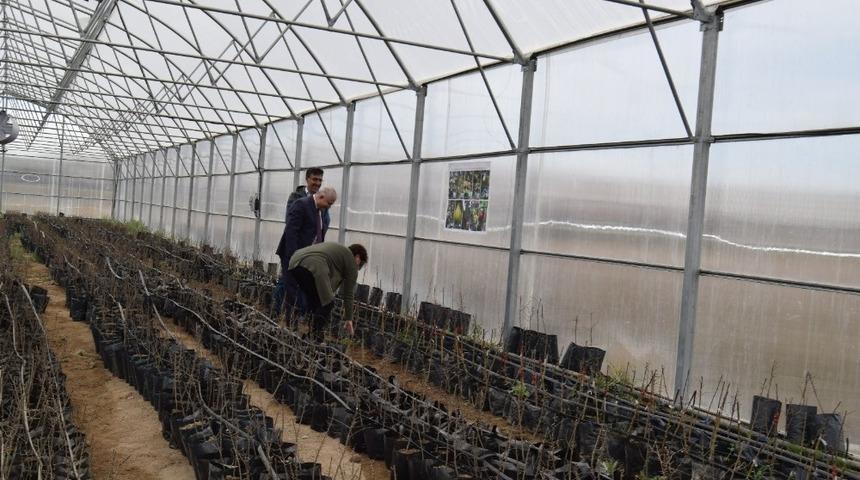 Van&rsquo;daki yerel meyve ve sebzeler koruma altına alınıyor