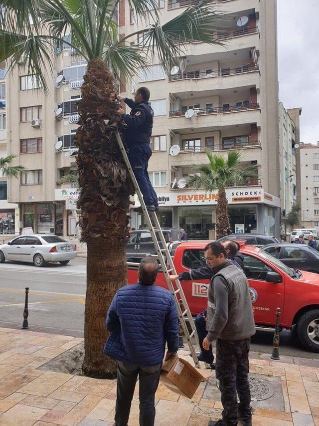 Ağaçta mahsur kalan yaralı güvercini itfaiye kurtardı