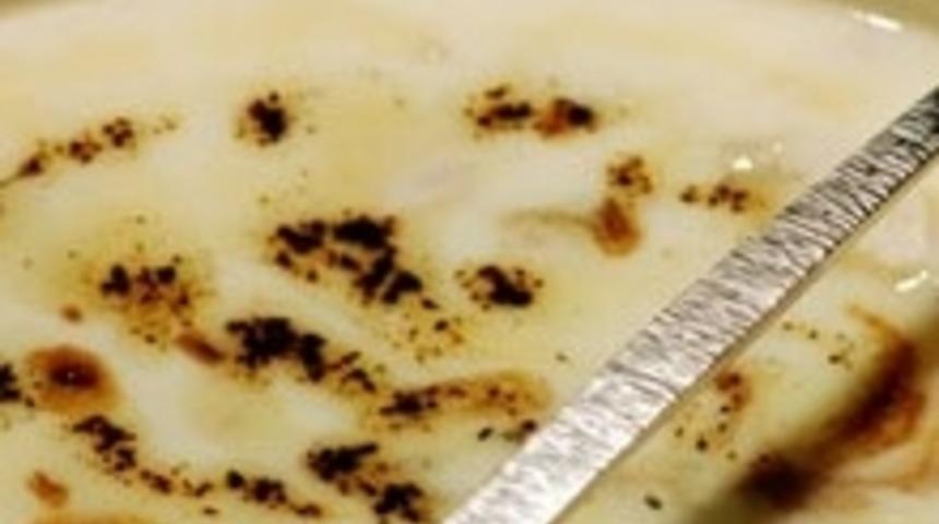 Terbiyeli Tavuk Çorbası