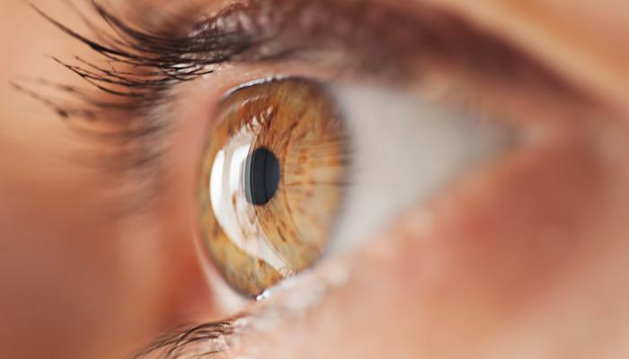 Retina Yirtigi Ve Dekolman Belirtileri Tedavisi Istanbul Retina Enstitusu