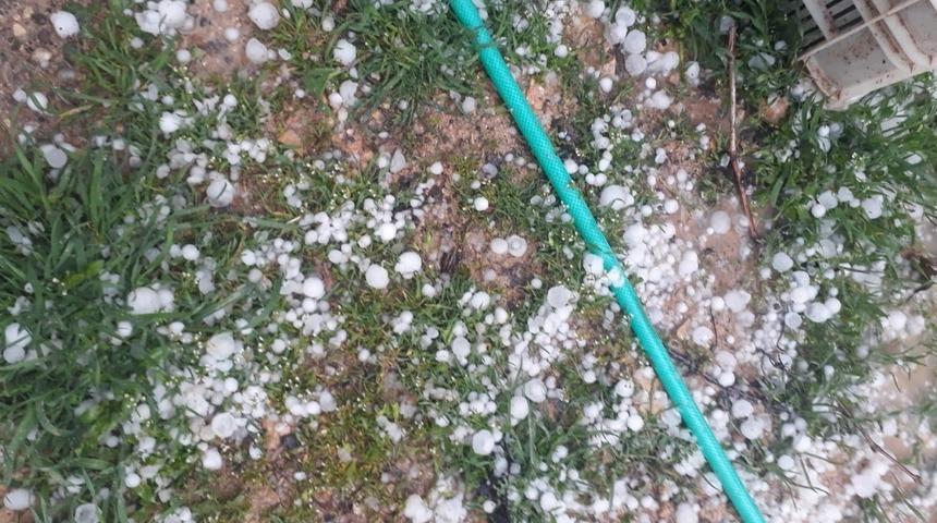 Kayısıyı dolu vurdu