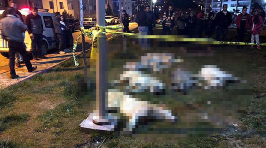 Ankara'da 16 köpeğin zehirlenmesi olayında flaş gelişme