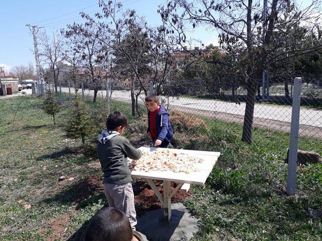 Öğrenciler kuş besleme tahtası yaptılar