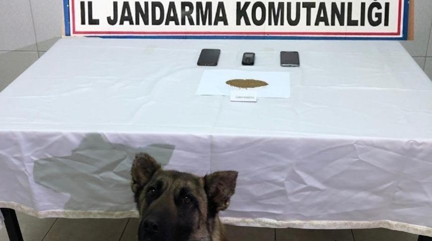 Jandarma&rsquo;dan esrar operasyonu: 4 ş&uuml;pheli g&ouml;zaltına alındı