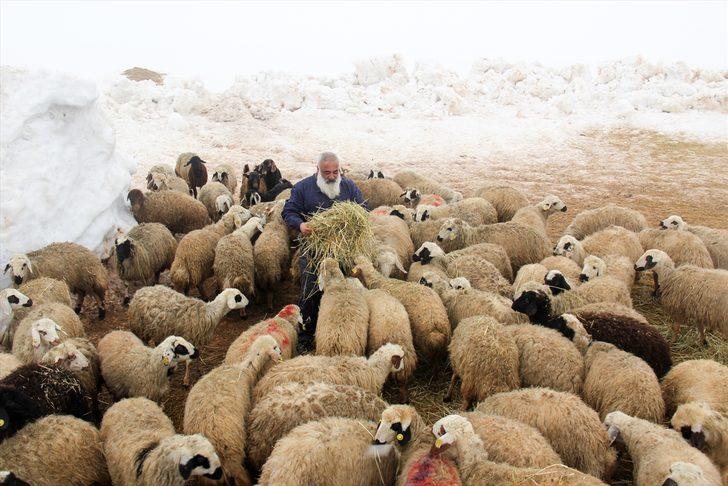 Metropolden sıkılıp çocukluk hayalini köyünde gerçekleştirdi G2