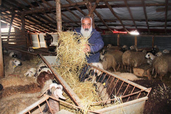 Metropolden sıkılıp çocukluk hayalini köyünde gerçekleştirdi G3