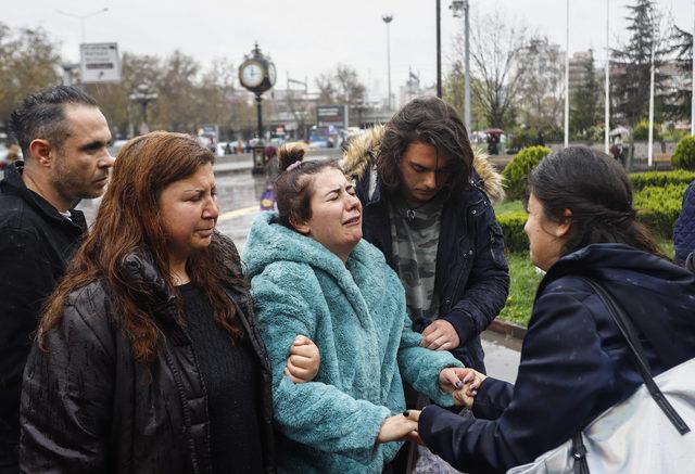 Ankara'da köpek katliamı şüphelileri serbest kaldı, hayvanseverler ağladı