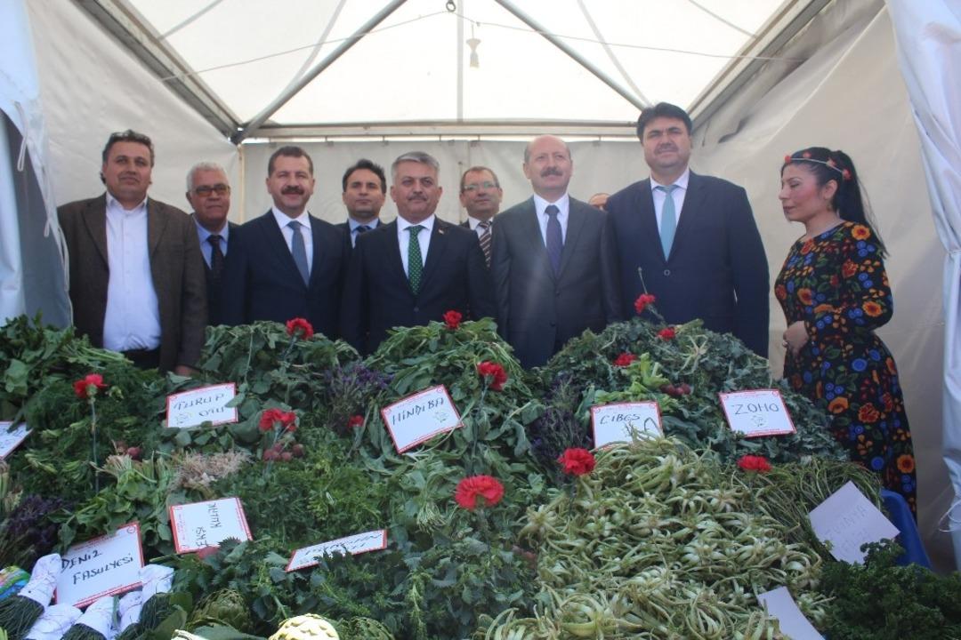 Ayvalık&rsquo;ta 2. Doğa Festivali başladı