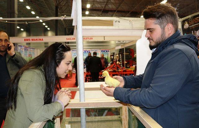 9. Doğu Anadolu Tarım, Hayvancılık ve Gıda Fuarı kapılarını açtı