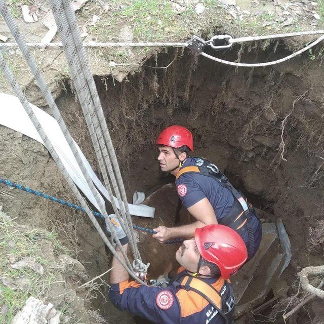 Kuyuya düşen inek, itfaiye ekipleri tarafından kurtarıldı