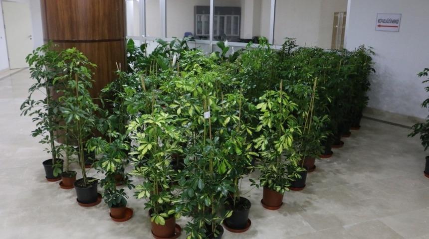 Başkan Özcan, tebrik çiçeklerini engelliler için satışa çıkardı